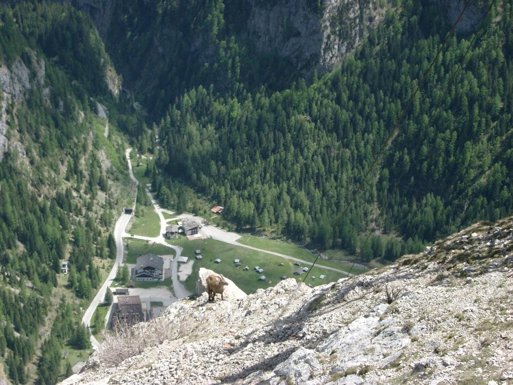 Albergo Genzianella Rocca Pietore Kültér fotó